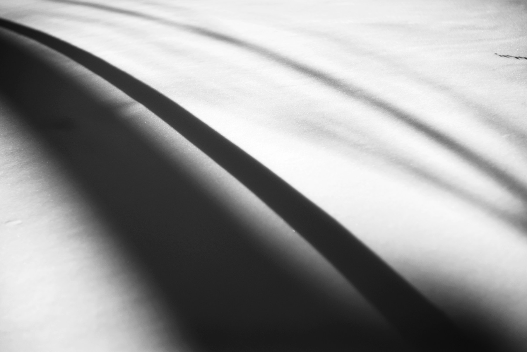 Black curved shadows sweeping across a pale surface
